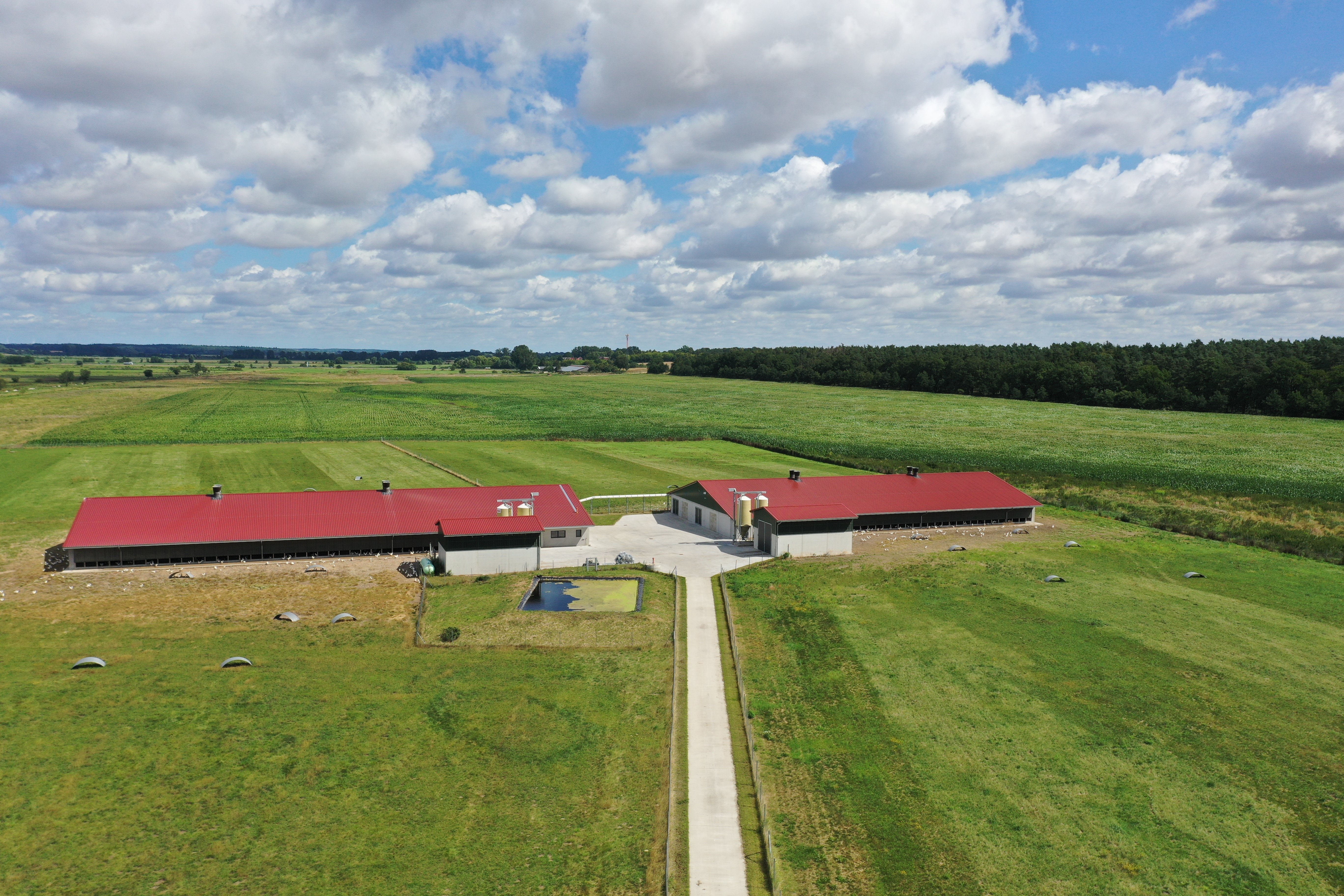 DJI_0346