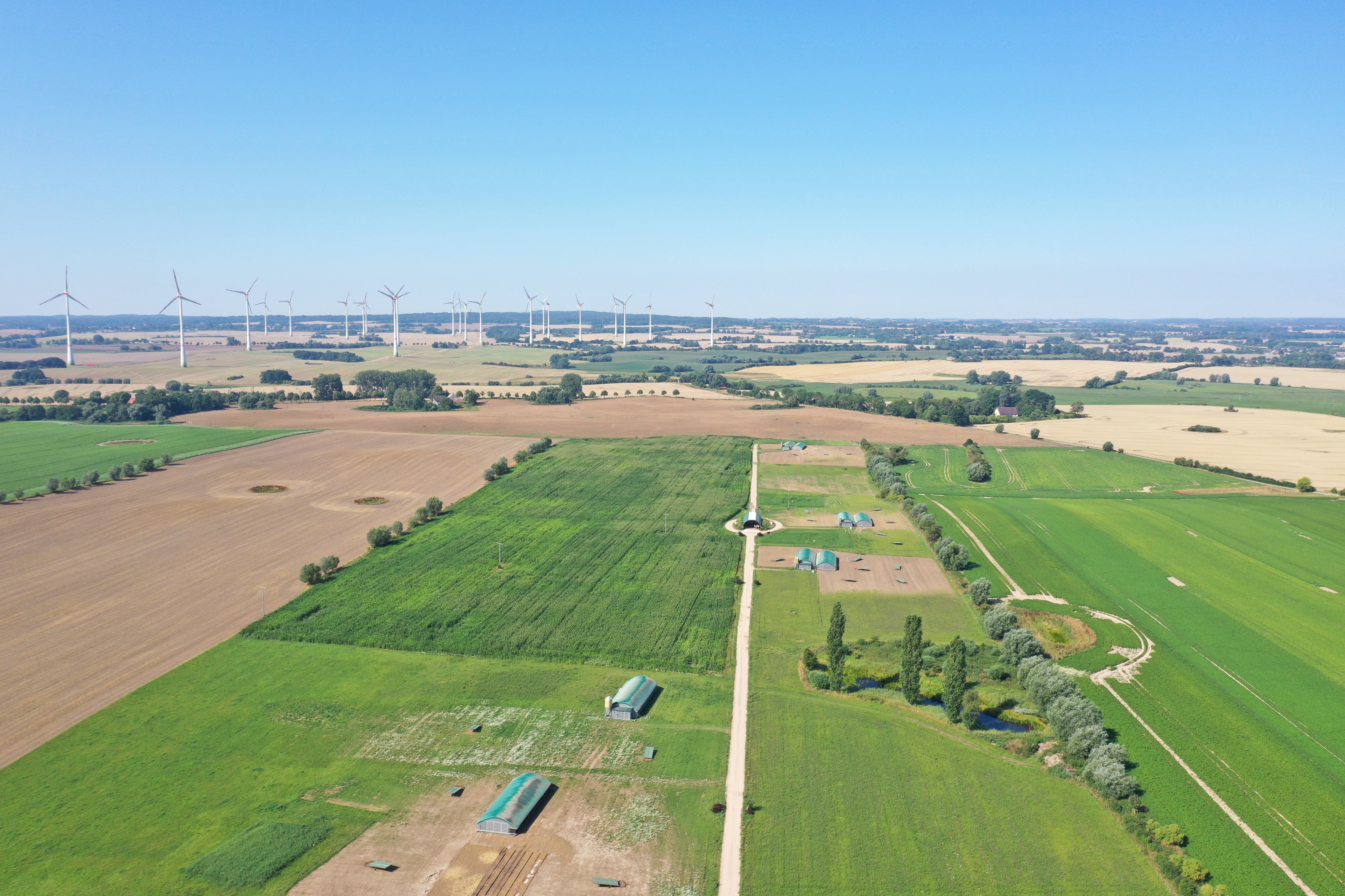 DJI_0611