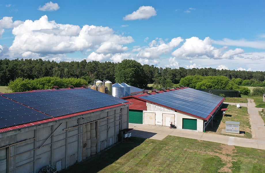Umgebaute Milchviehanlage zur Putenfarm