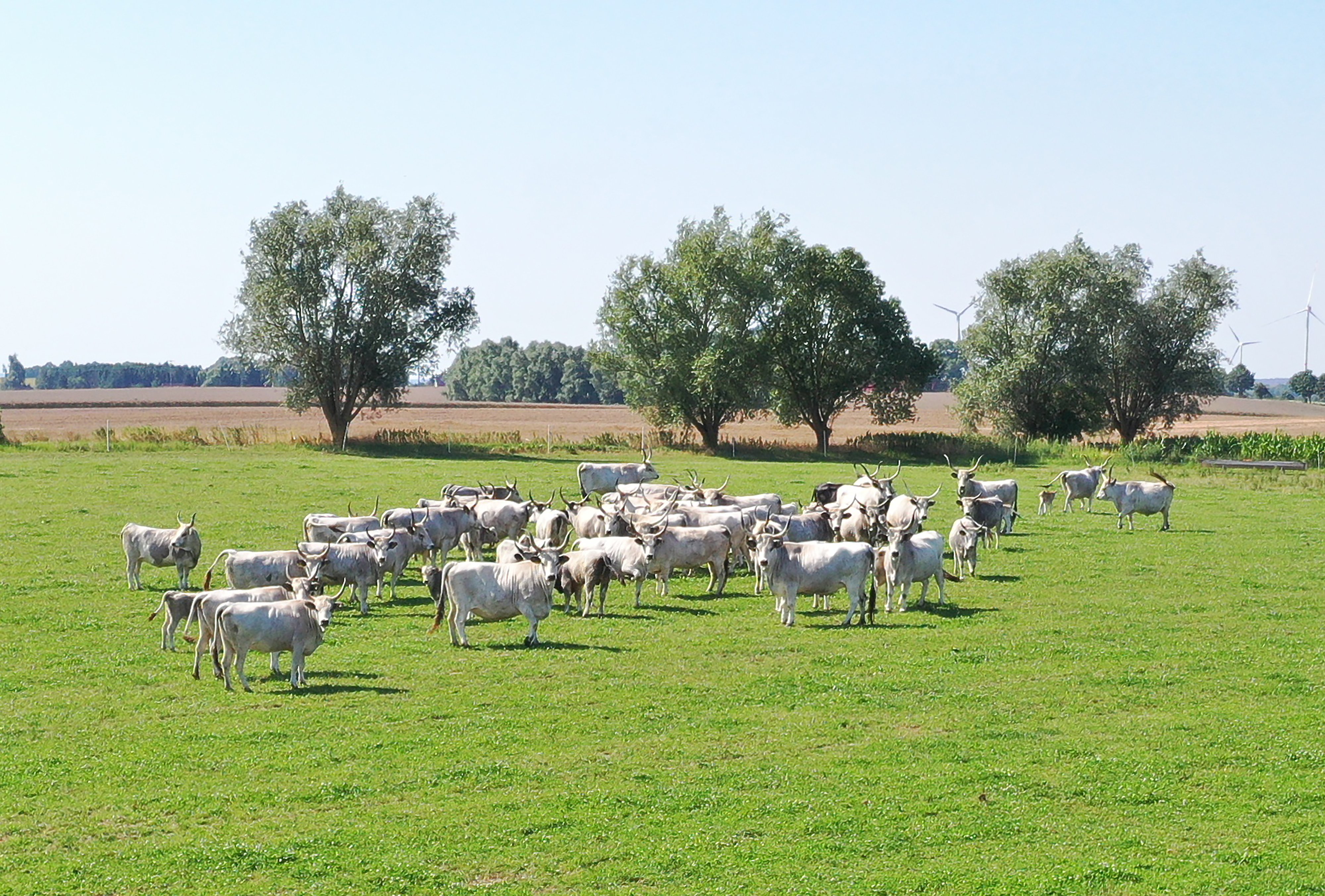 DJI_0633 Kopie