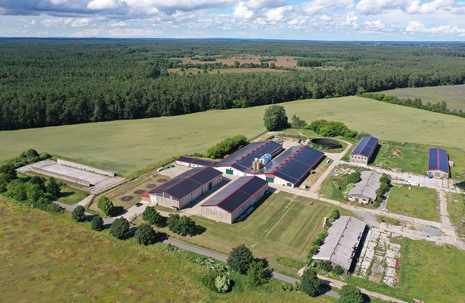 Putenfarm in Demen